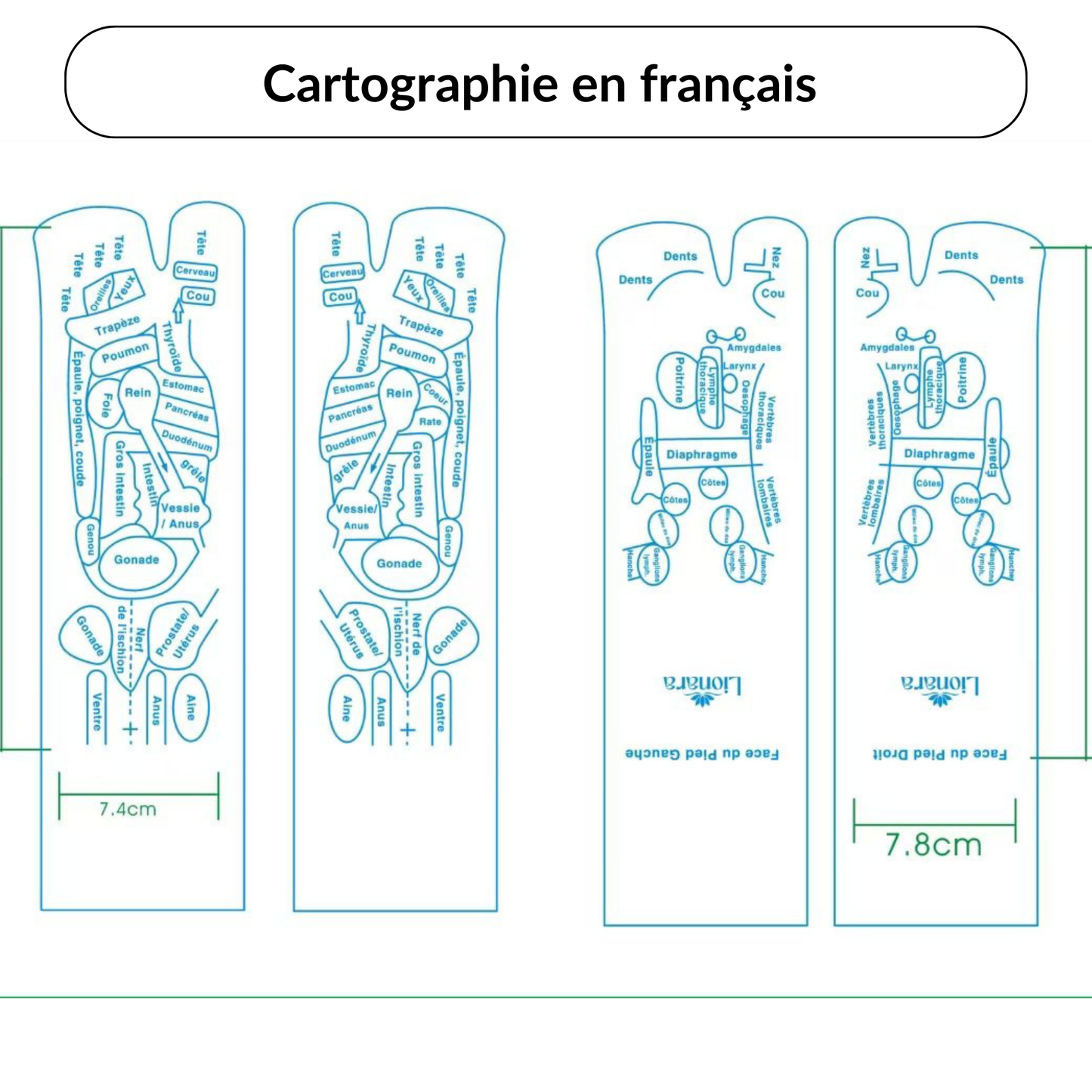 Coffret de réflexologie plantaire